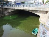 Rennes : La Vilaine est déjà verte… Appel à la prudence avec l’arrivée des cyanobactéries