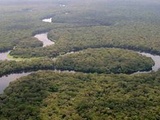 République démocratique du Congo : Le plus grand parc du pays retiré de la liste du patrimoine mondial en péril