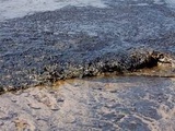 Russie : Une importante fuite de pétrole en mer noire