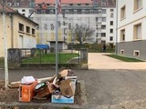 Strasbourg : De véritables autoroutes des rats dans certaines allées du Neuhof