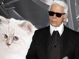 Succession de Karl Lagerfeld : Mais que devient Choupette, la chatte star d'Instagram