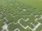 Toulouse : Et si vous alliez vous perdre dans un champ de maïs transformé en labyrinthe géant