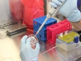 Vaccination : Des résultats prometteurs pour un vaccin nasal français contre le Covid-19