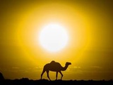 Vague de chaleur au Maroc : Avec près de 50 °c, des « records absolus » de températures battus