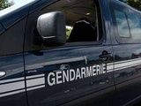 Vosges : Un enfant de 12 ans soupçonné de viol sur une fillette de 8 ans
