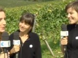 France 3 Alsace au vignoble des 2 Lunes pour les vendanges 2014