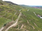 Vidéo par drône de la Route des Vins d’Alsace du côté de Kaysersberg et Eguisheim