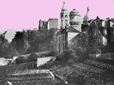 Les vignes du Clos Montmartre, en route vers la qualité