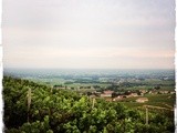 Vins de Bourgogne #3 : le Beaujolais, la belle endormie