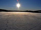 Bonne Année 2013