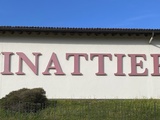 Dégustation chez Vinattieri Ticino à Ligornetto (janvier 2023)