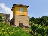 L’honorable Compagnie des Vignerons de Neuchâtel : bienfaitrice du vignoble depuis près de 330 ans