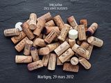 La dégustation publique annuelle des vins de la Mémoire Des Vins Suisses aura lieu le 29 mars 2012