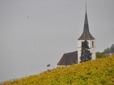 Les vignobles du lac de Bienne :  entre aoc et banc d’essai