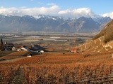 Les vins du Chablais : dans les alpes vaudoises, des vins de terroir et de caractère