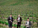 Trois vignerons neuchâtelois couronnés à la Coupe Chasselas, aux Pinot Gris du Monde et au Mondial du Rosé